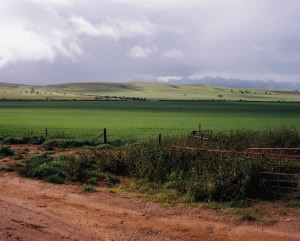 Balaklava, South Australia