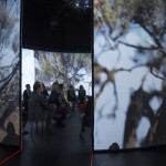 'Ngurini (Searching)' immersive projection. Photo by Carl Warner.